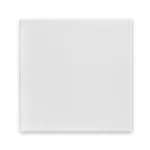 Placa Cielorraso Telgopor Lisa 50x50 cm Blanco