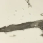 Vinilanato Autoadhesivo Decorativo 30x60 Vetun Pack x 10 Lifewall 1.8 m² - Image 5